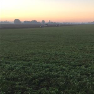 Meet your Posher, Marcelino